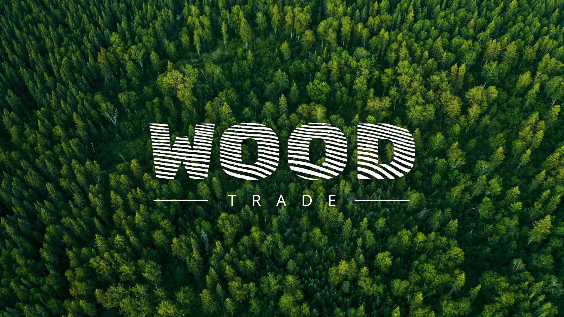 Разработка интернет-магазина компании «Wood Trade» в Судже